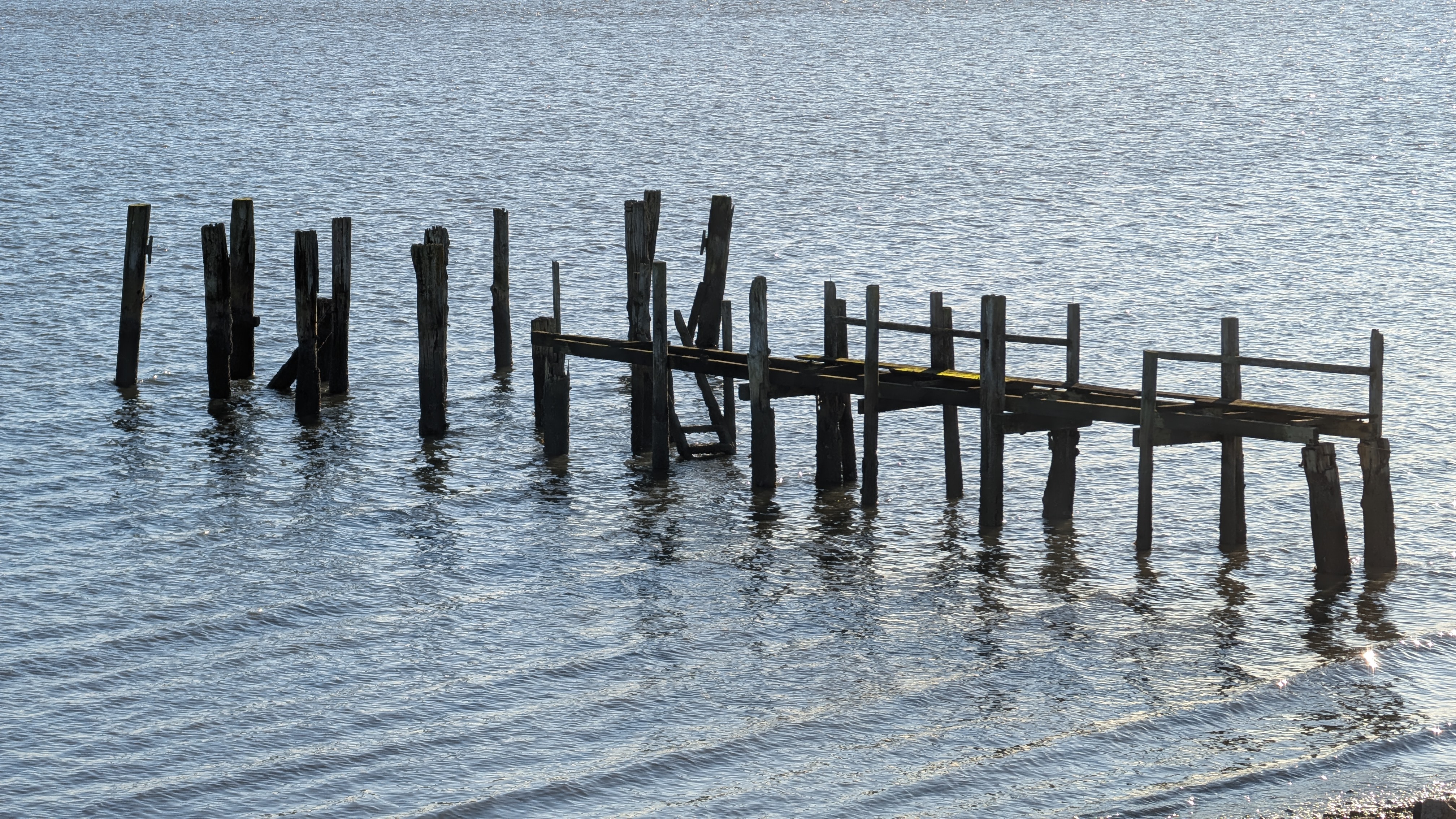 Amrum Dünenwanderung