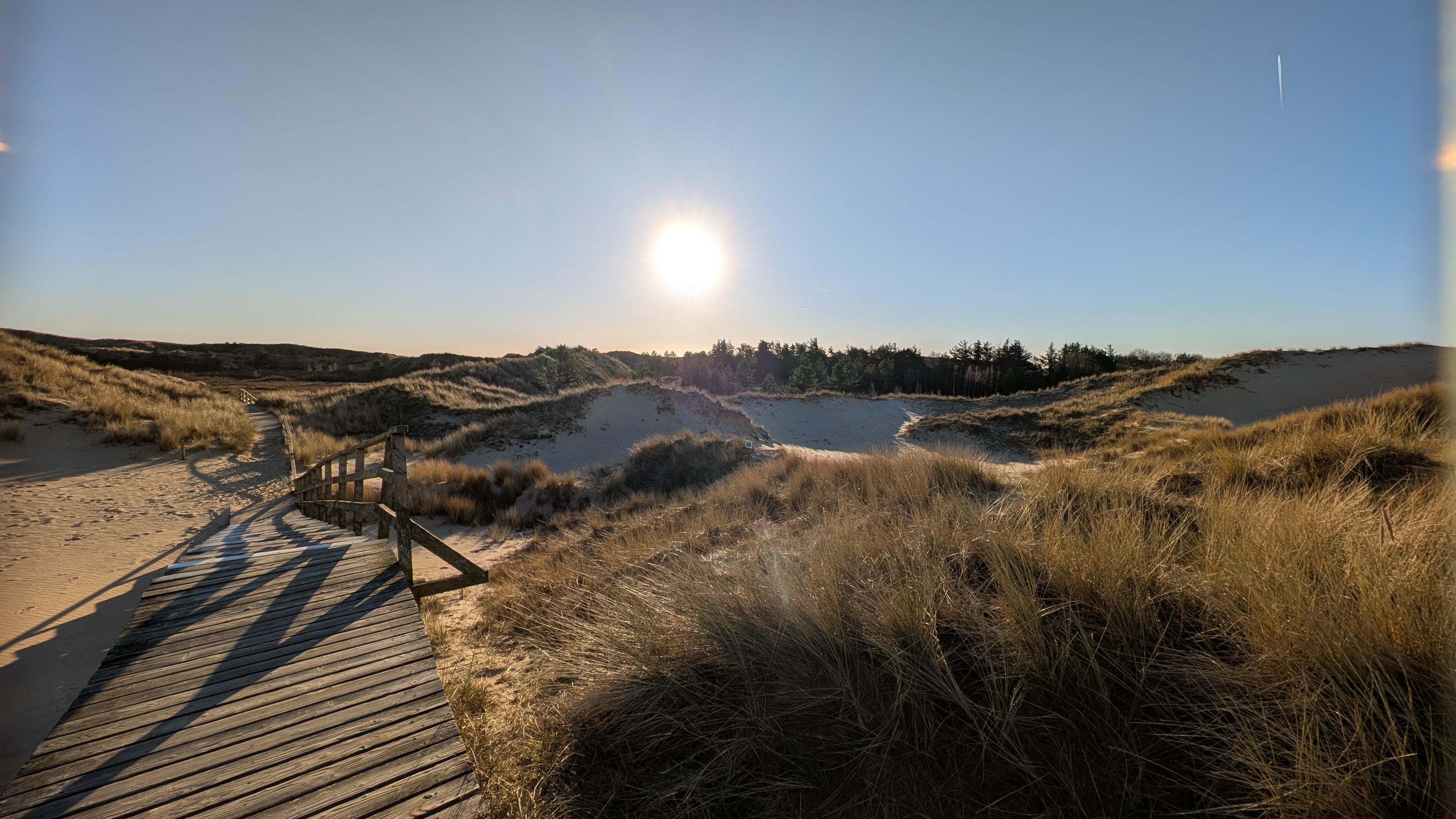 Amrum Dünenwanderung