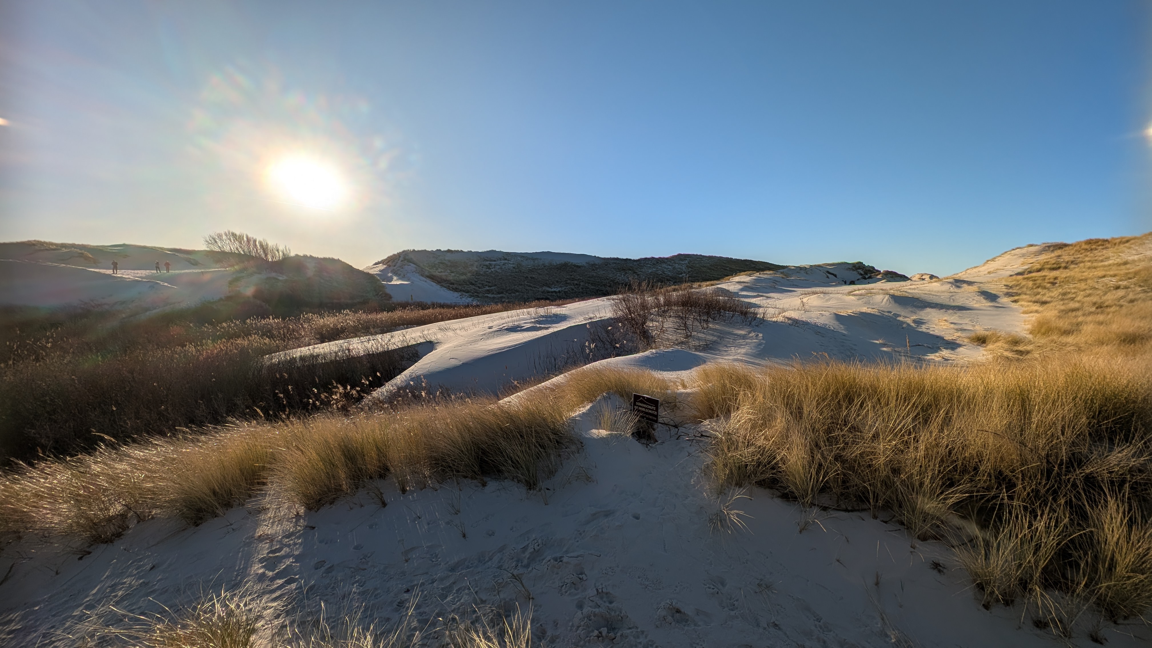 Amrum Dünenwanderung