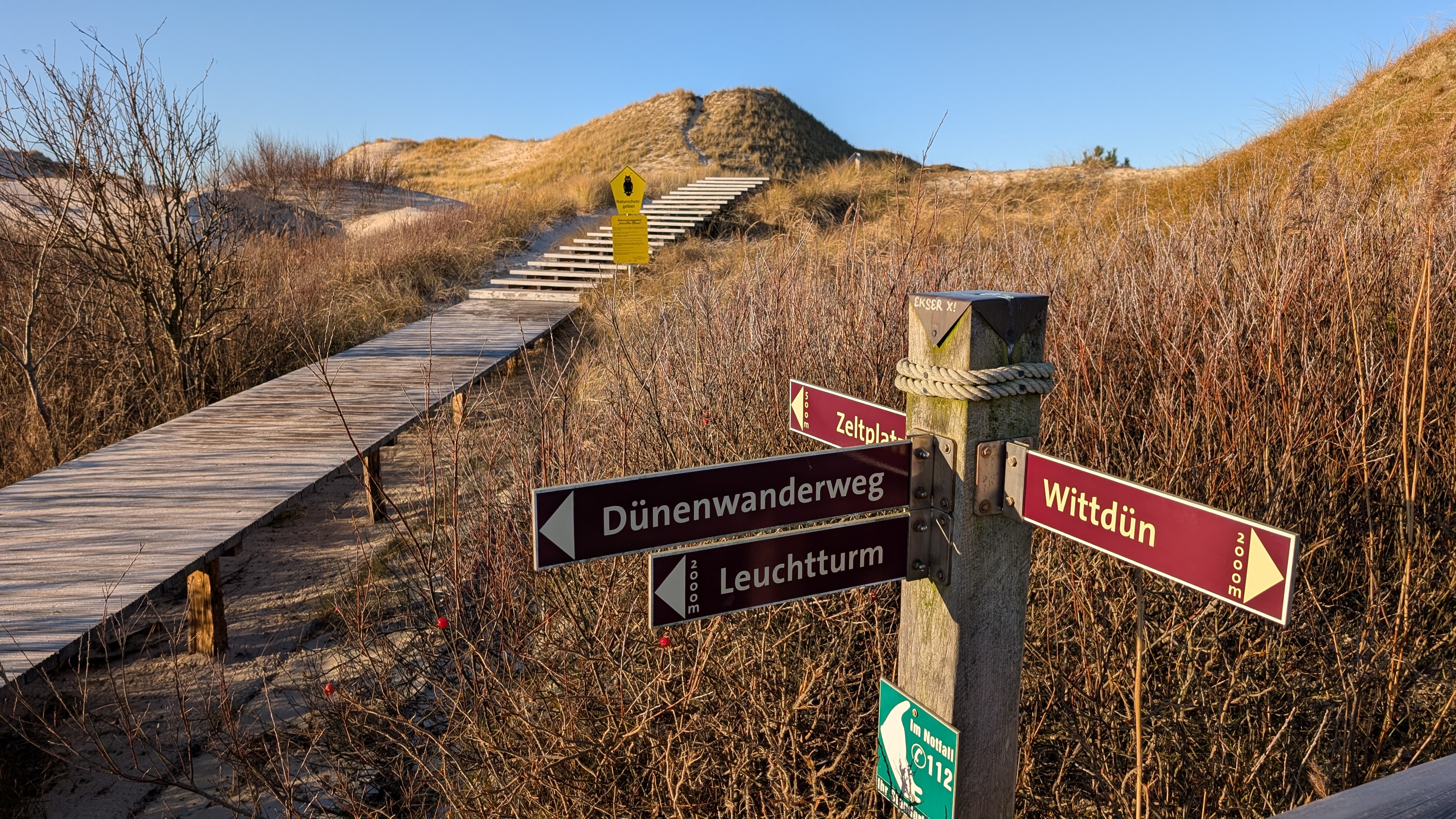 Amrum Dünenwanderung