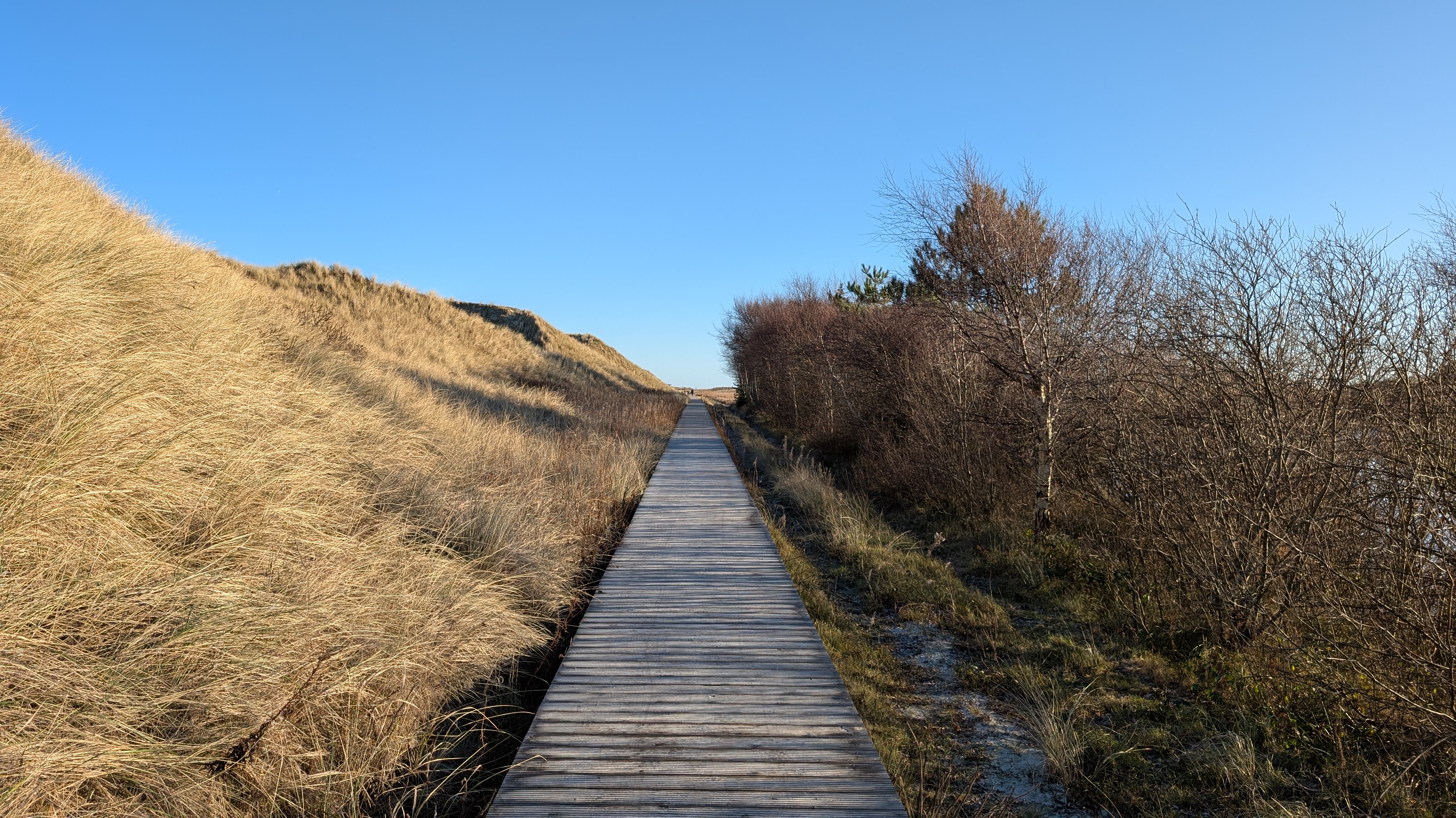 Amrum Dünenwanderung