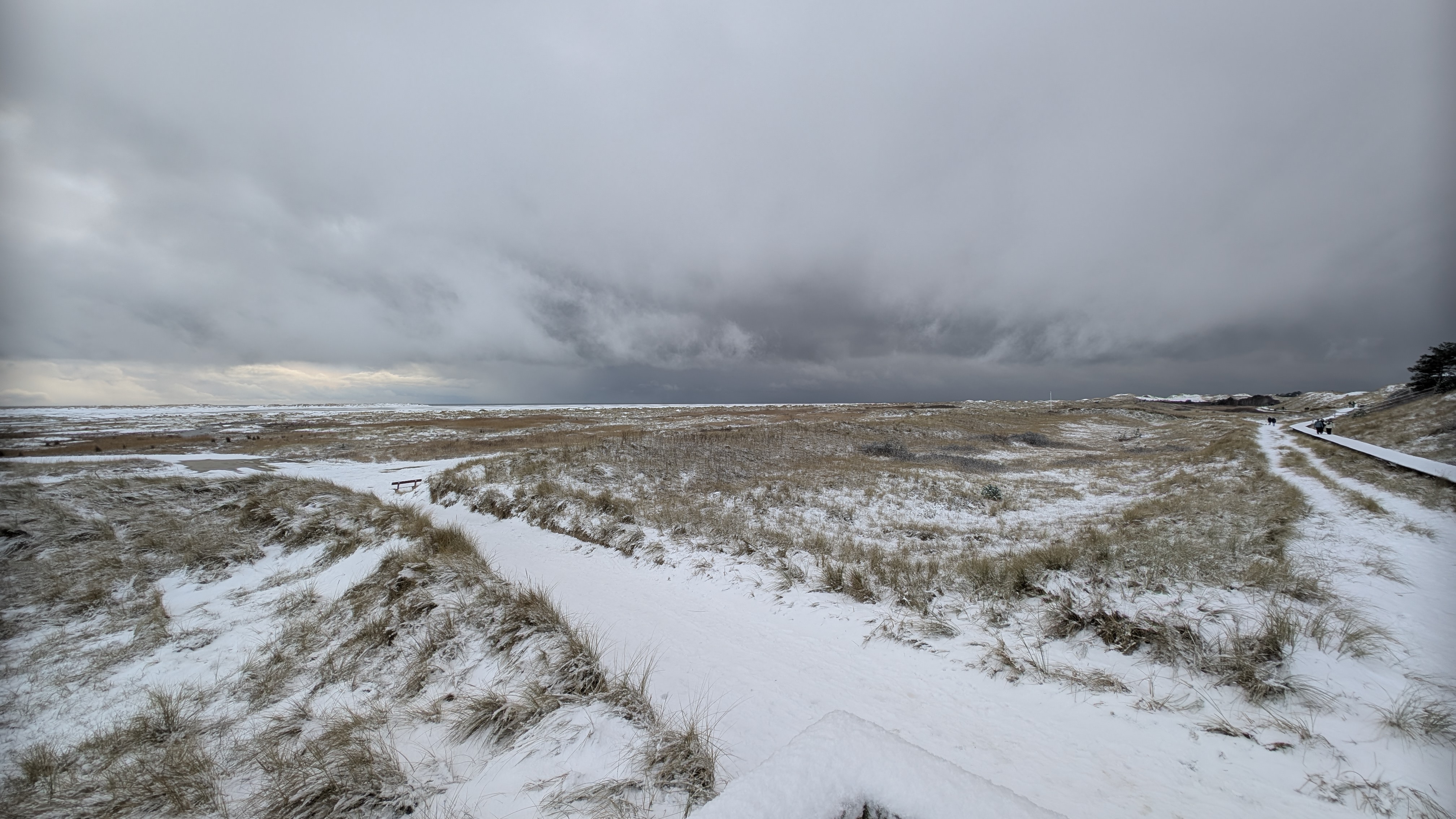 Am Beginn der Bohlenwege