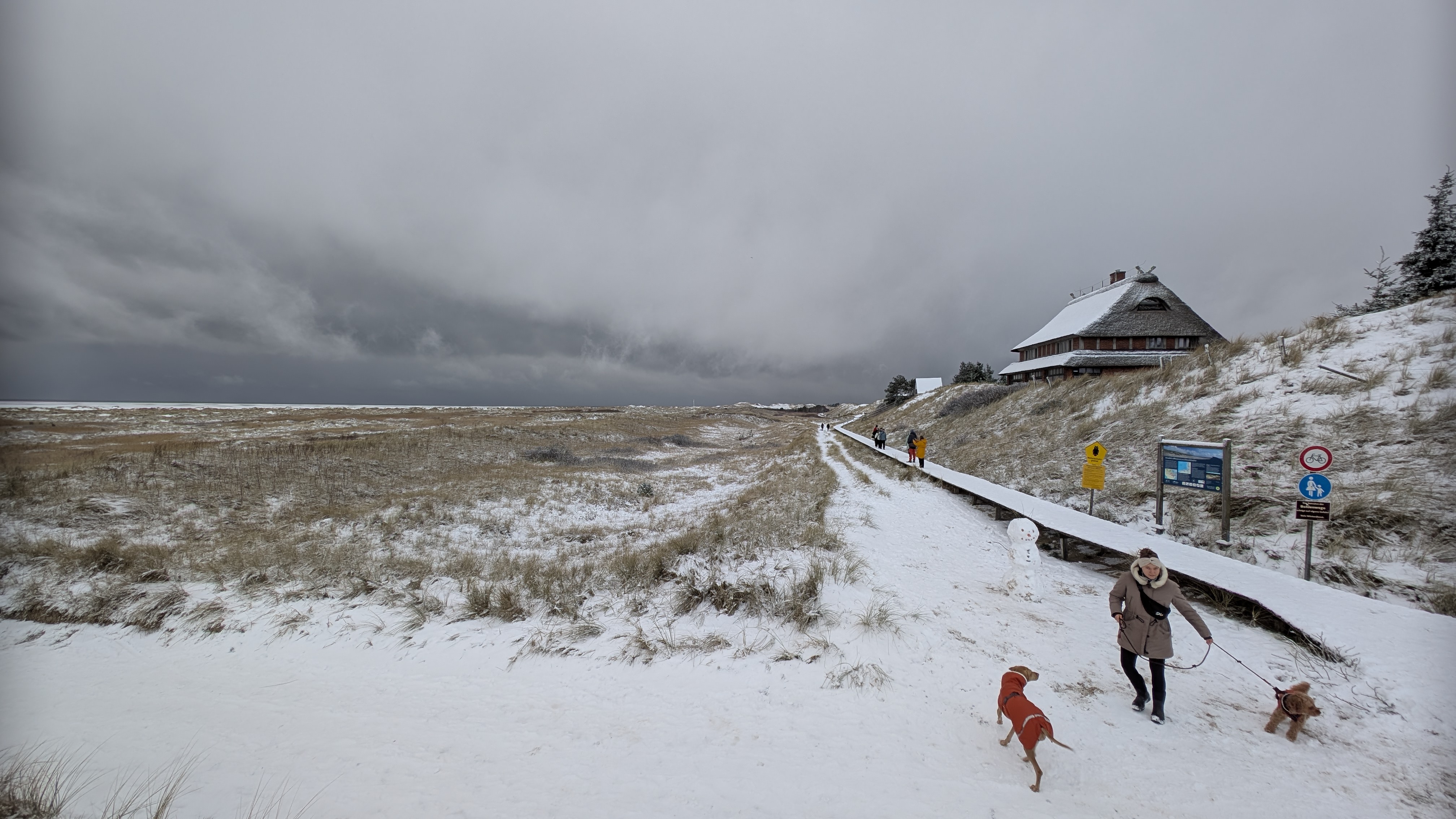 Am Beginn der Bohlenwege