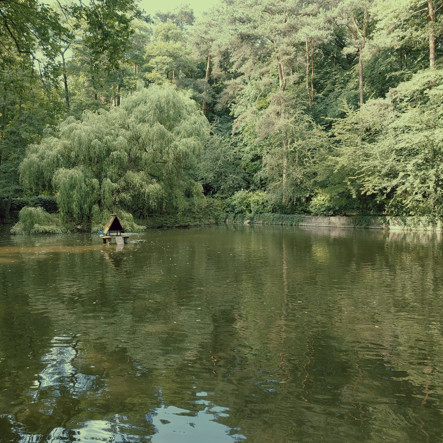 Waldpark in Troisdorf