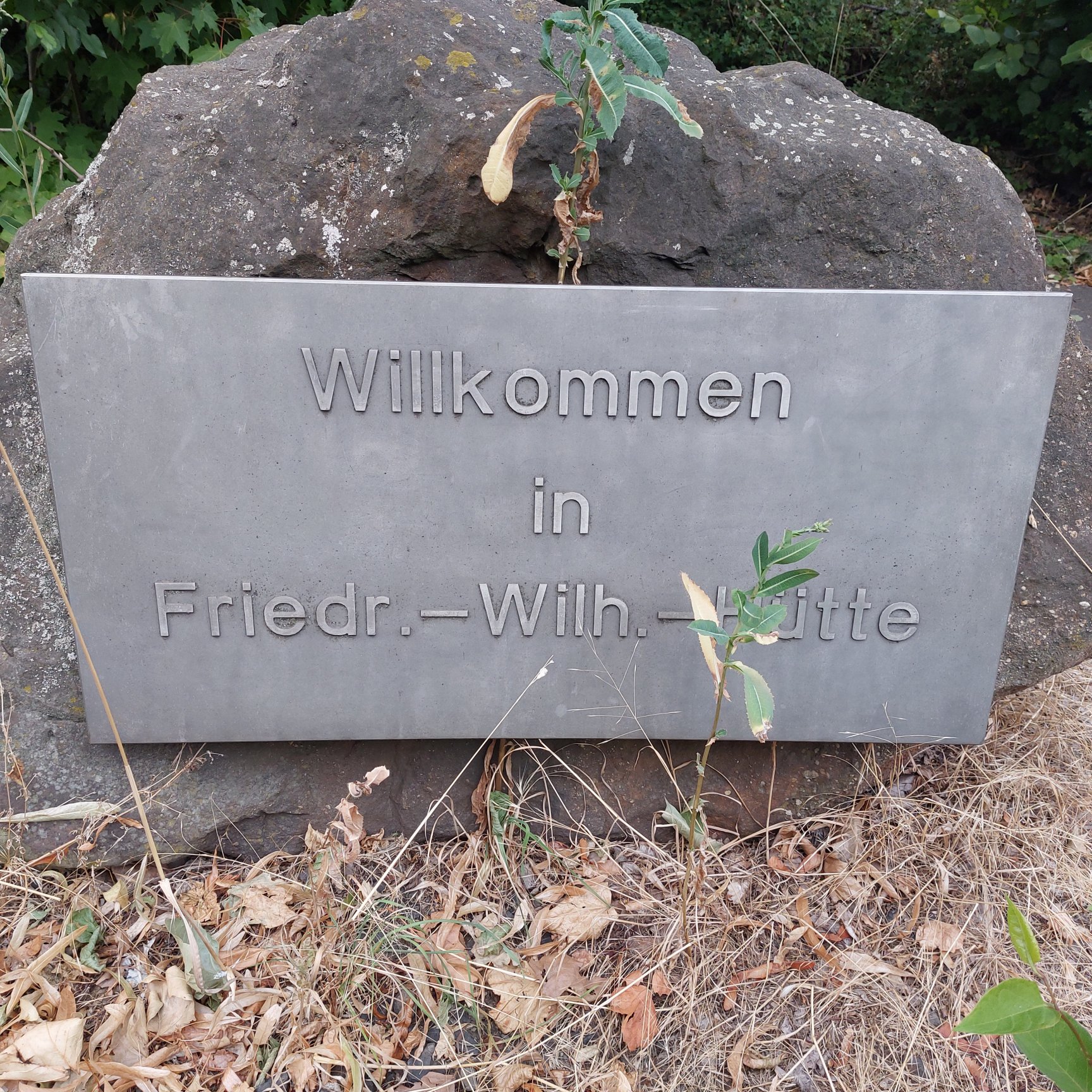 Ich werde dann wohl den Stadtteil wechseln. Willkommen in FWH.